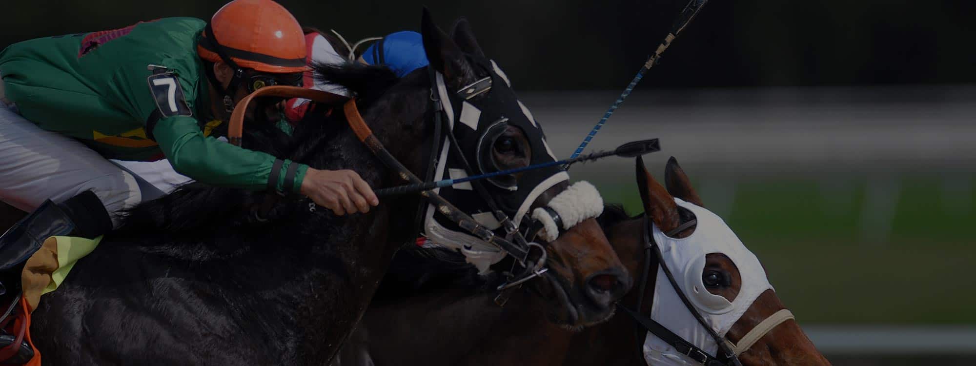 Specialist Flight Support and the 2020 Grand National