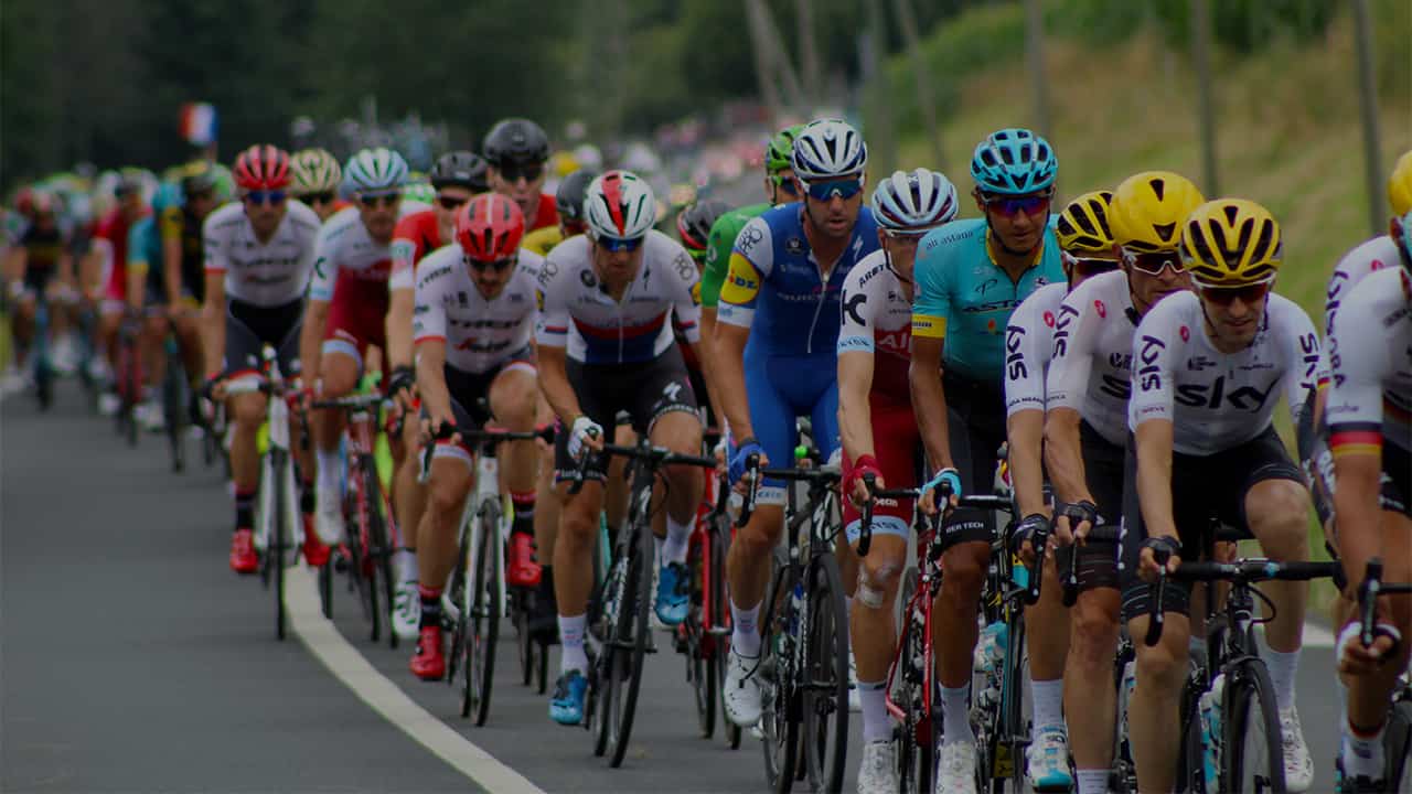 Expert Trip Support Services for the 2020 Tour de France