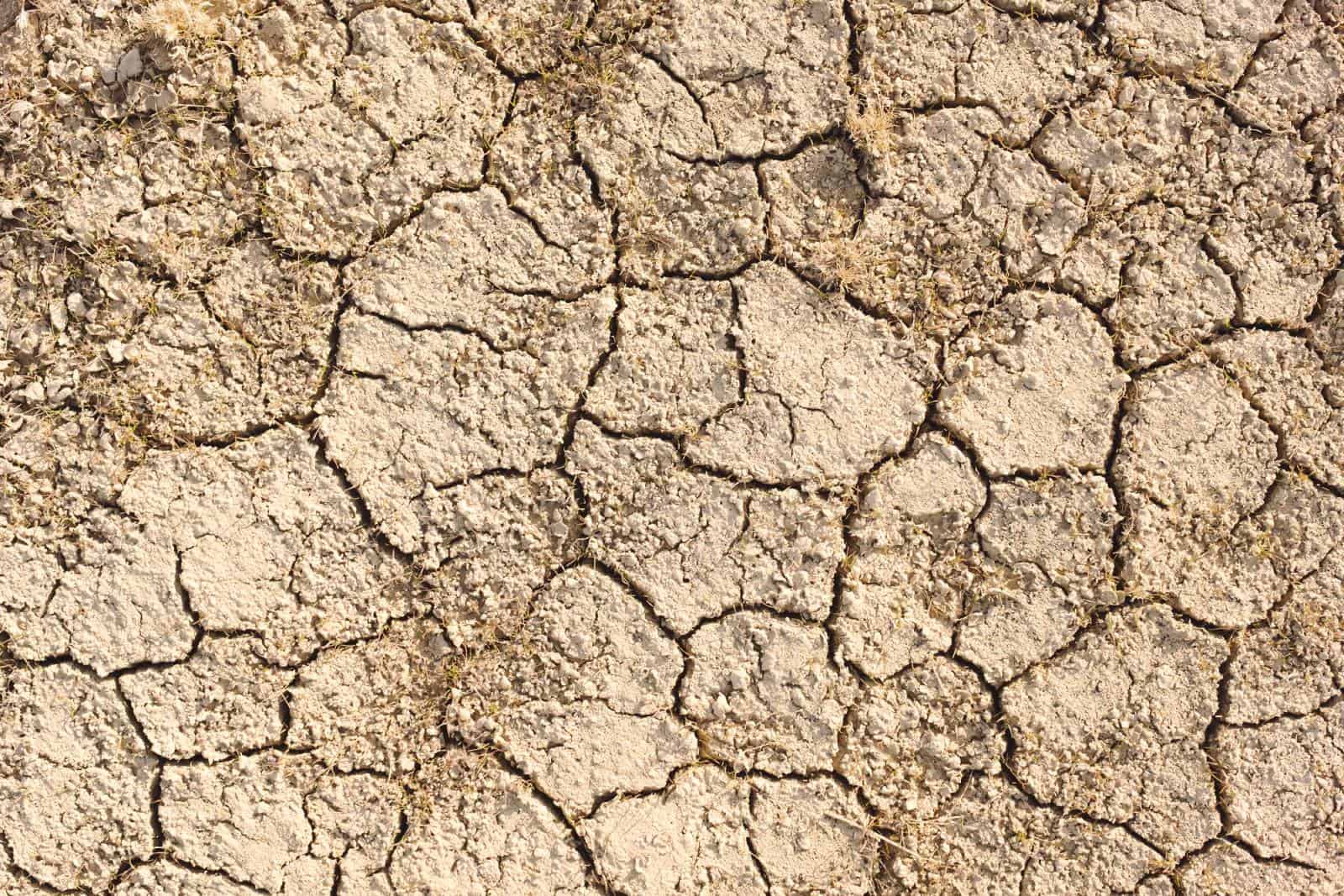Global warming and its side effects on the aviation industry